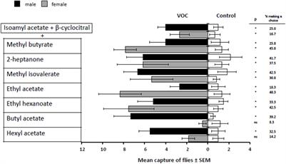 Behavioral Responses of Drosophila suzukii (Diptera: Drosophilidae) to Blends of Synthetic Fruit Volatiles Combined With Isoamyl Acetate and β-Cyclocitral